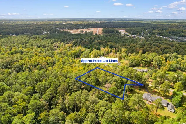 $100,000 | Tbd Tbd Long Avenue Extension, Conway, SC 29526