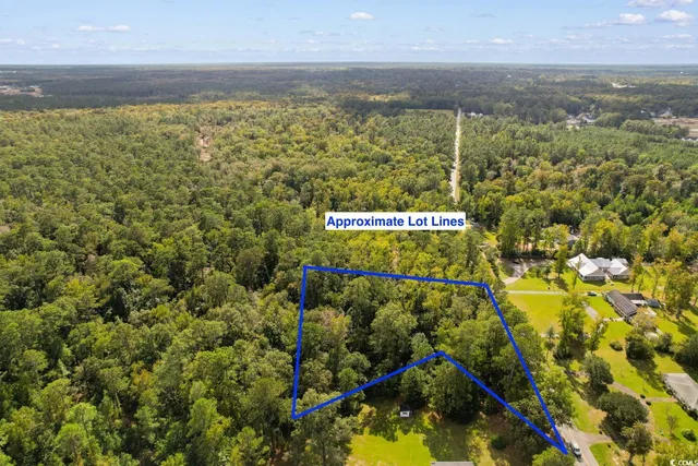 $100,000 | Tbd Tbd Long Avenue Extension, Conway, SC 29526