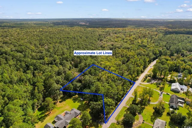 $100,000 | Tbd Tbd Long Avenue Extension, Conway, SC 29526