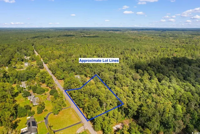 $100,000 | Tbd Tbd Long Avenue Extension, Conway, SC 29526