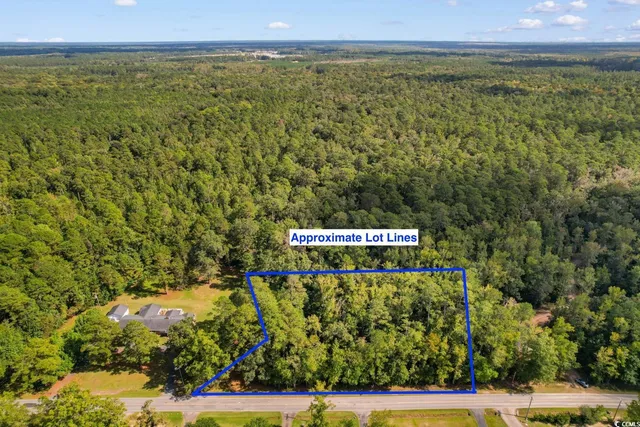 $100,000 | Tbd Tbd Long Avenue Extension, Conway, SC 29526