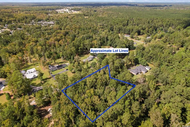 $100,000 | Tbd Tbd Long Avenue Extension, Conway, SC 29526
