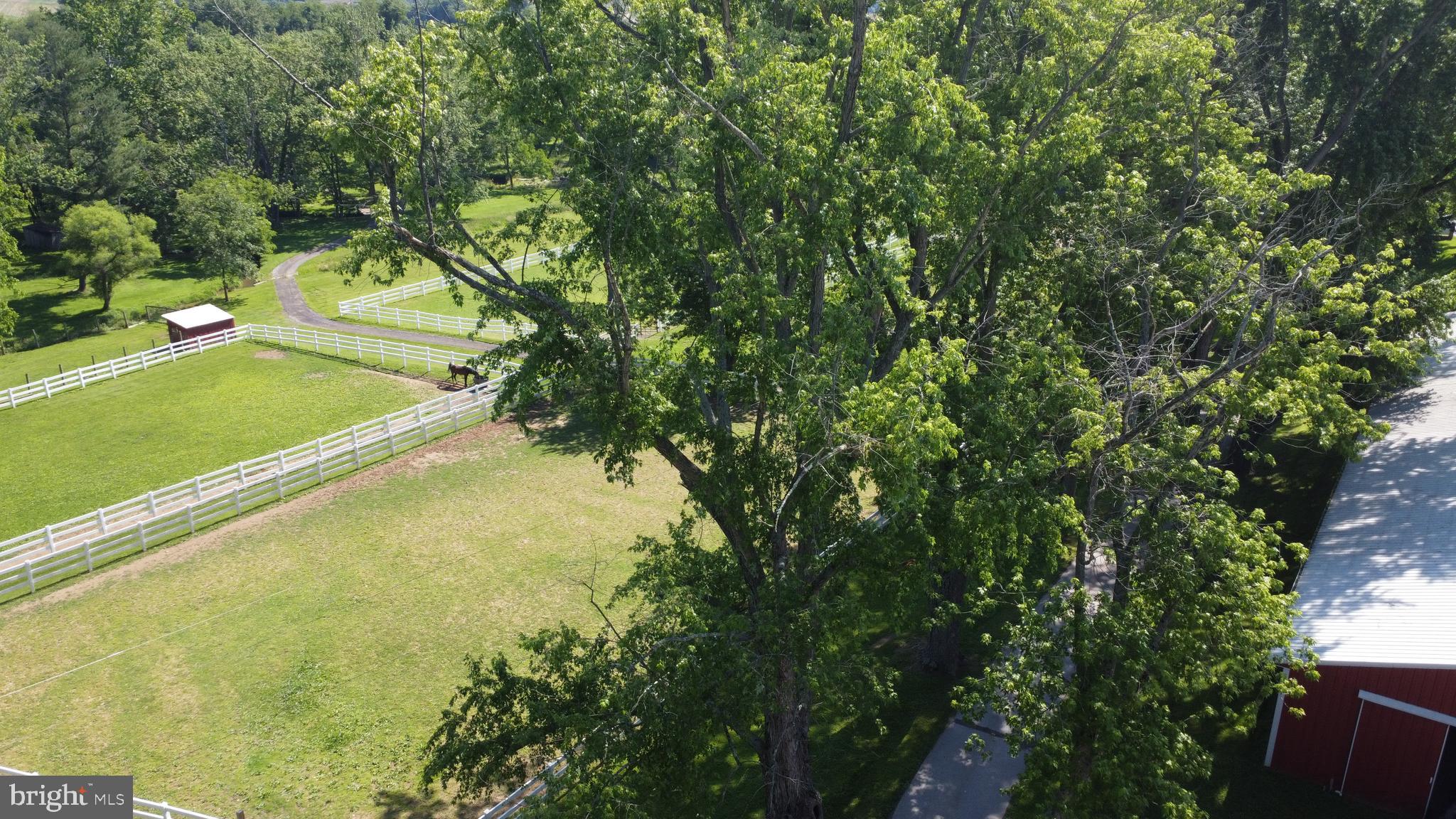 1632 Richardson Road Westminster, MD 21158 - Photo 86 of 95 Gallery Image 86