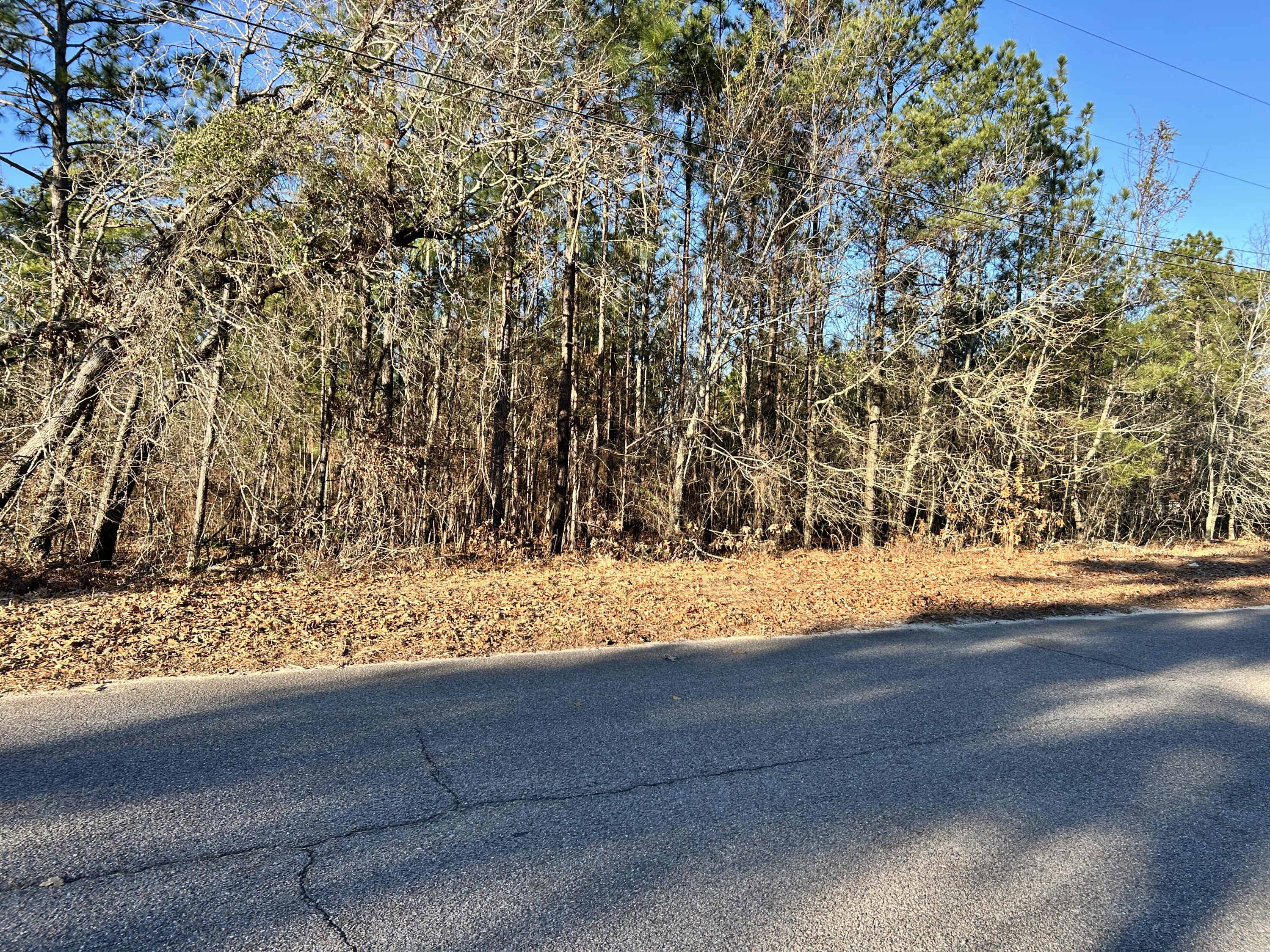 3934 Grape Avenue Augusta, GA 30909 - Photo 2 of 4 IMG_1745