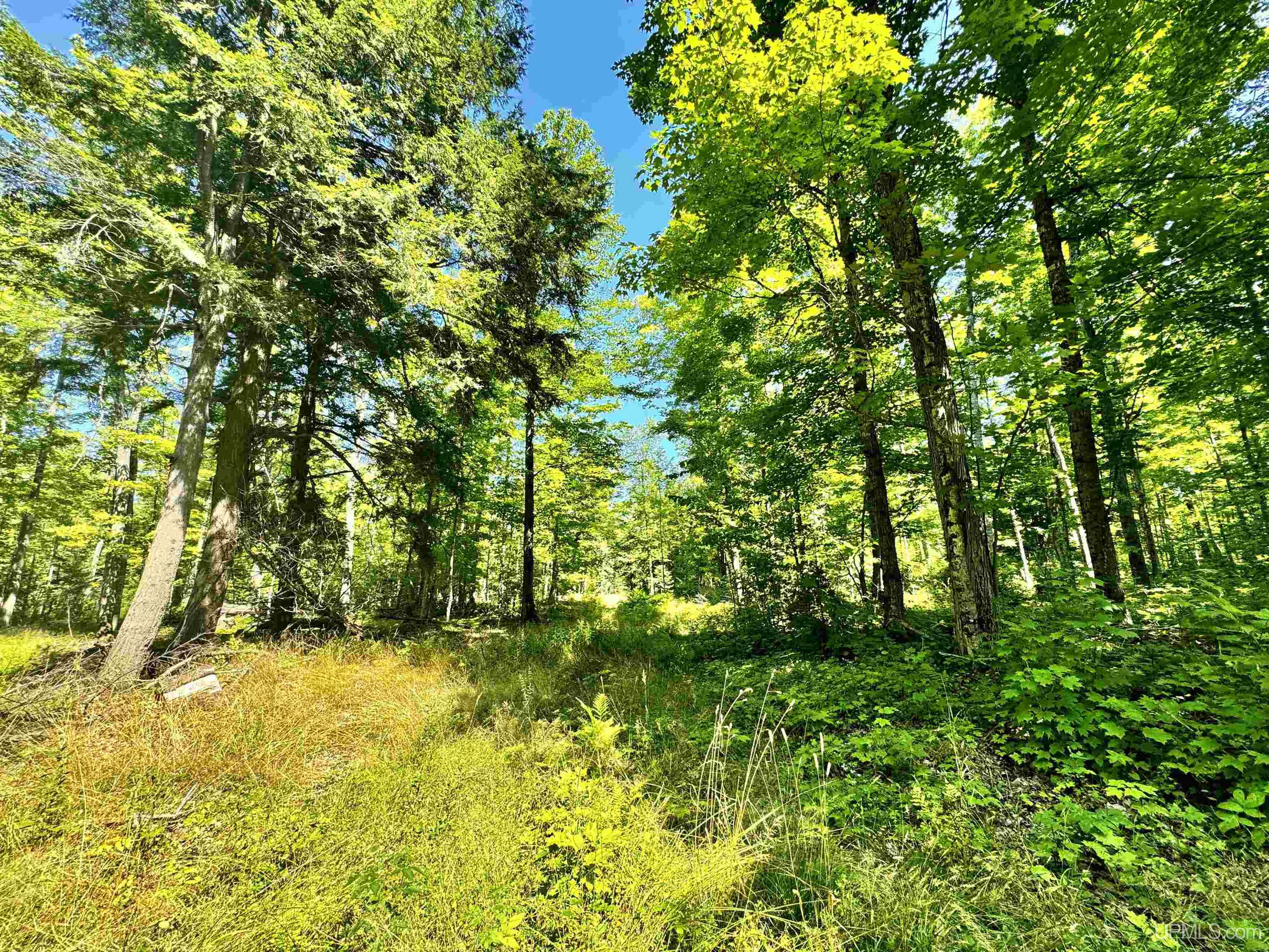 23867 Huron Road Skanee, MI 49962 - Photo 20 of 33 Gallery Image 20