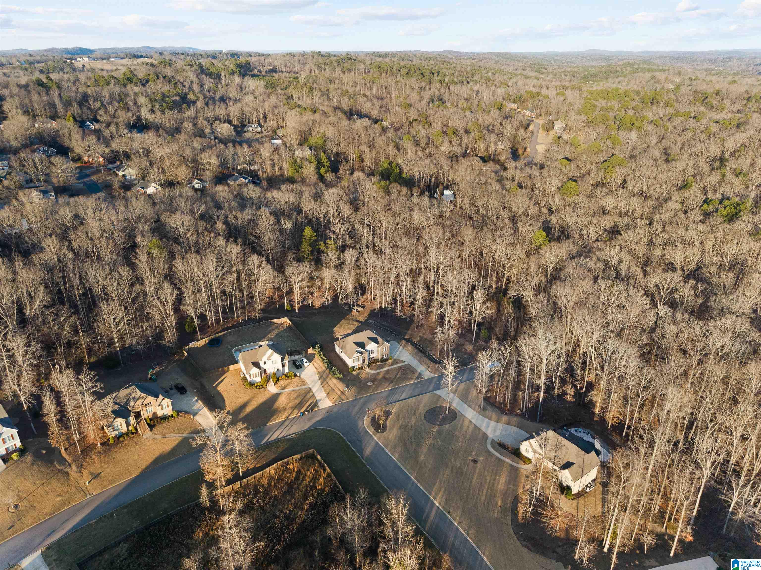 6274 Deer Rdg Trail Trussville, AL 35173 - Photo 33 of 38