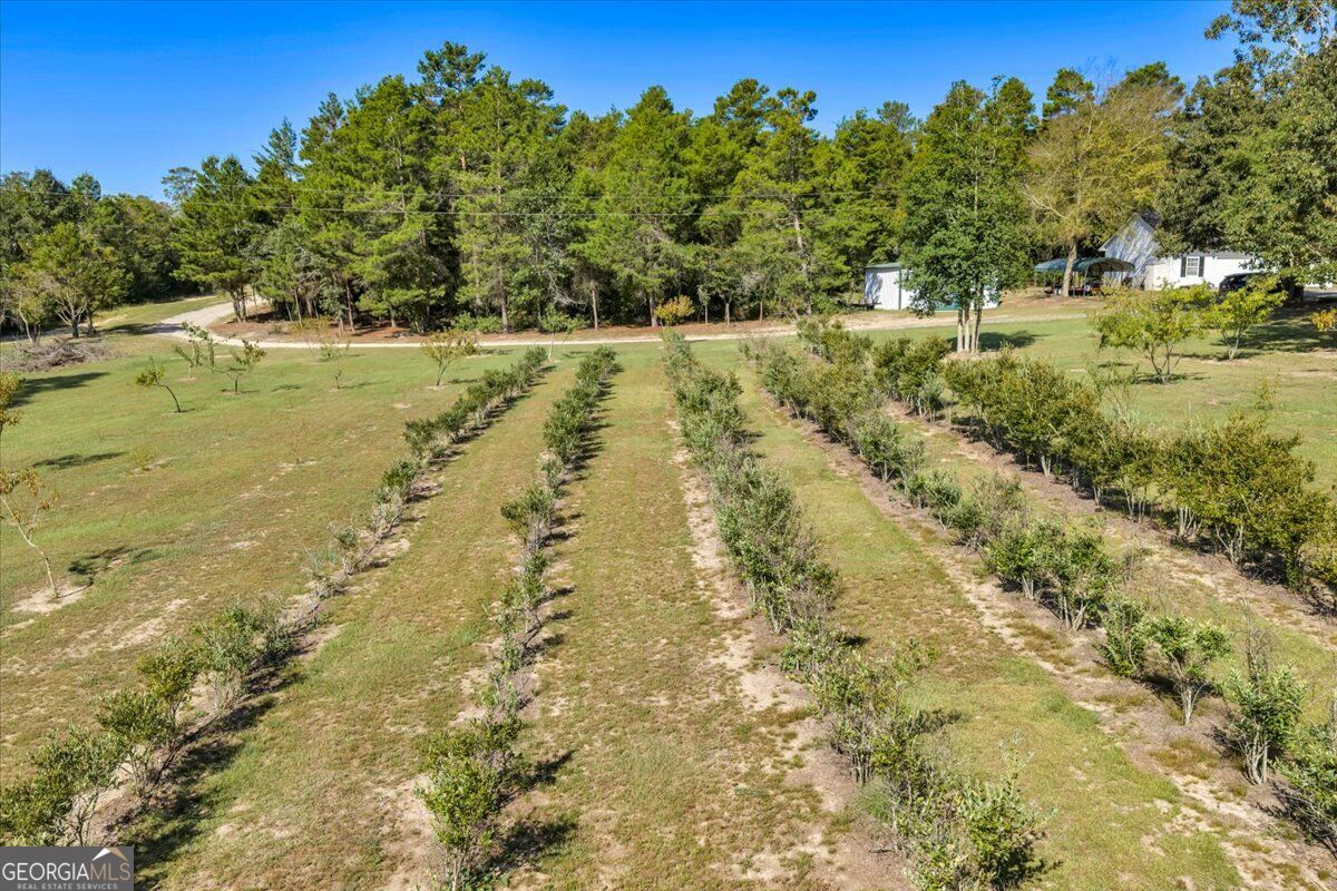 319 Pope Road Roberta, GA 31078 - Photo 79 of 93 Gallery Image 79
