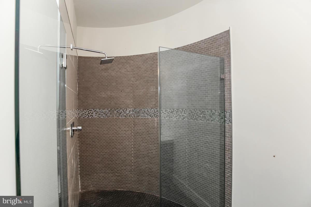 460 Ridge Street Northwest, Unit 4 Washington, DC 20001 - Photo 23 of 30 Master Bathroom # 2