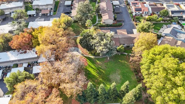 a picture of flowers