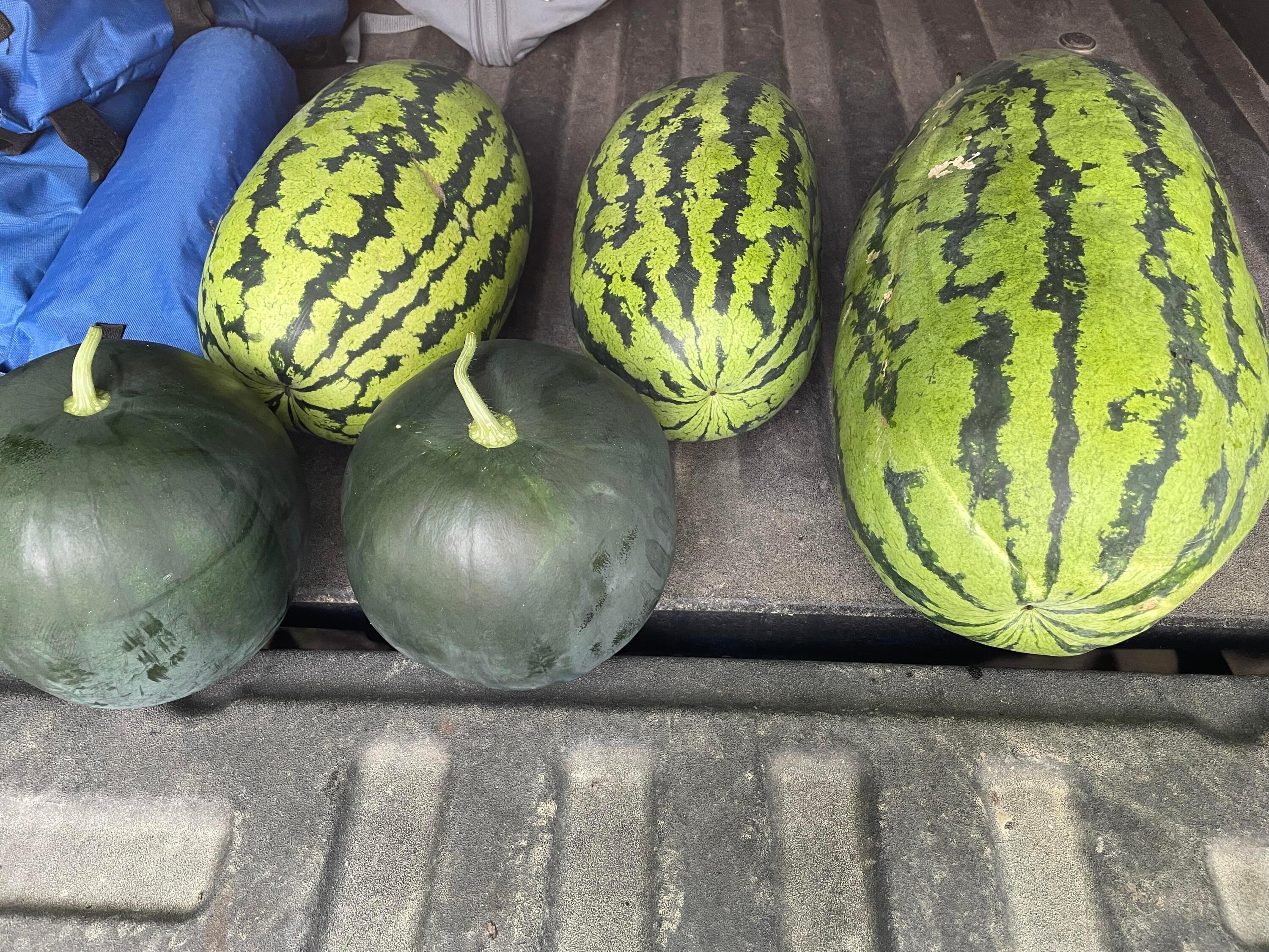 4167 North Section Line Road Radnor, OH 43066 - Photo 73 of 81 Fruit Grown on Land
