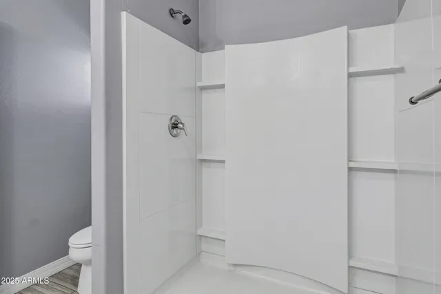 a bathroom with a shower and a toilet