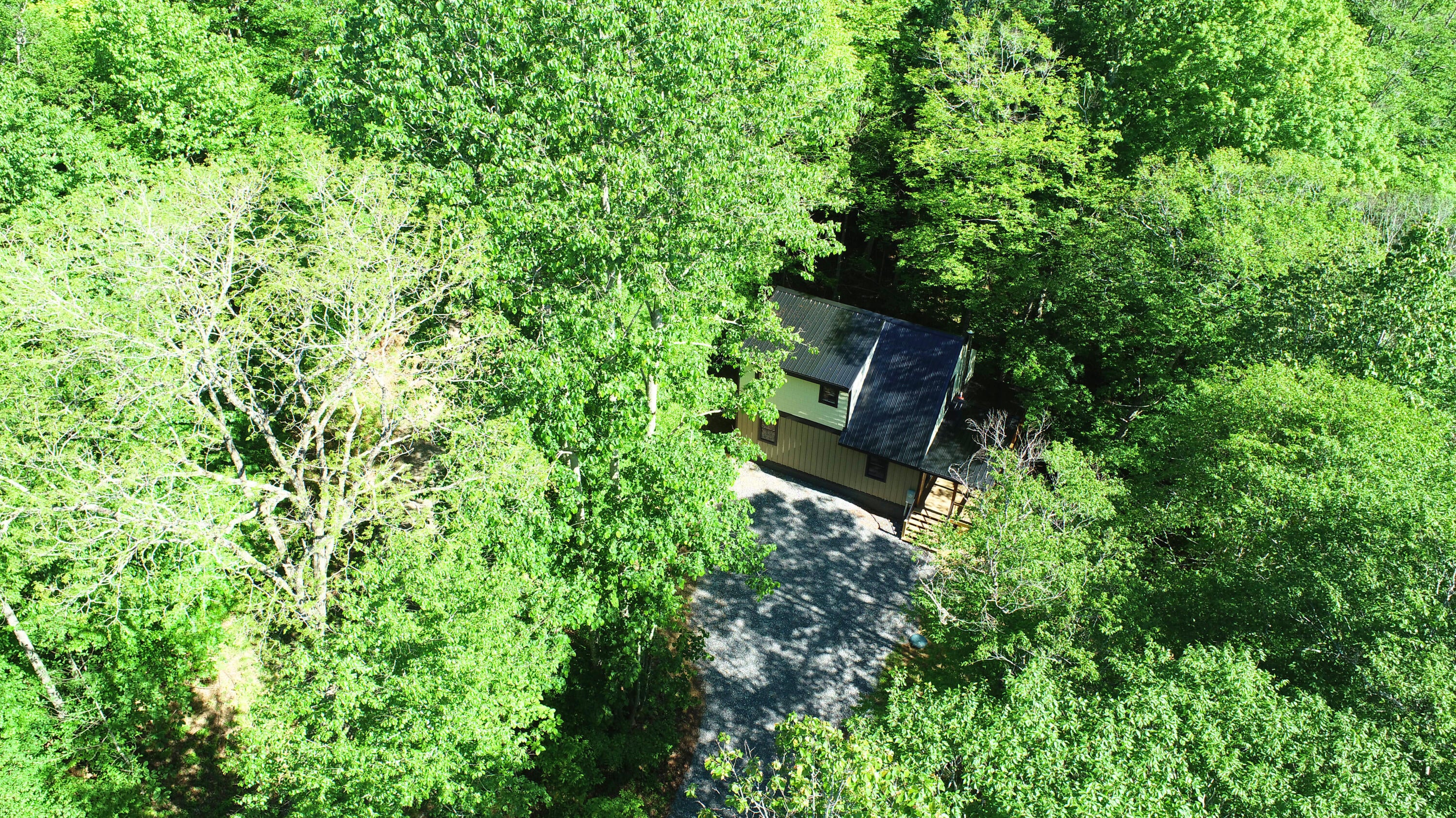 32 Upper Roberts Ridge Road Slatyfork, WV 26291 - Photo 34 of 37 DJI_0061_Edited