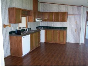 970 Carters Valley Road Mosheim, TN 37818 - Photo 2 of 6 Photo 2