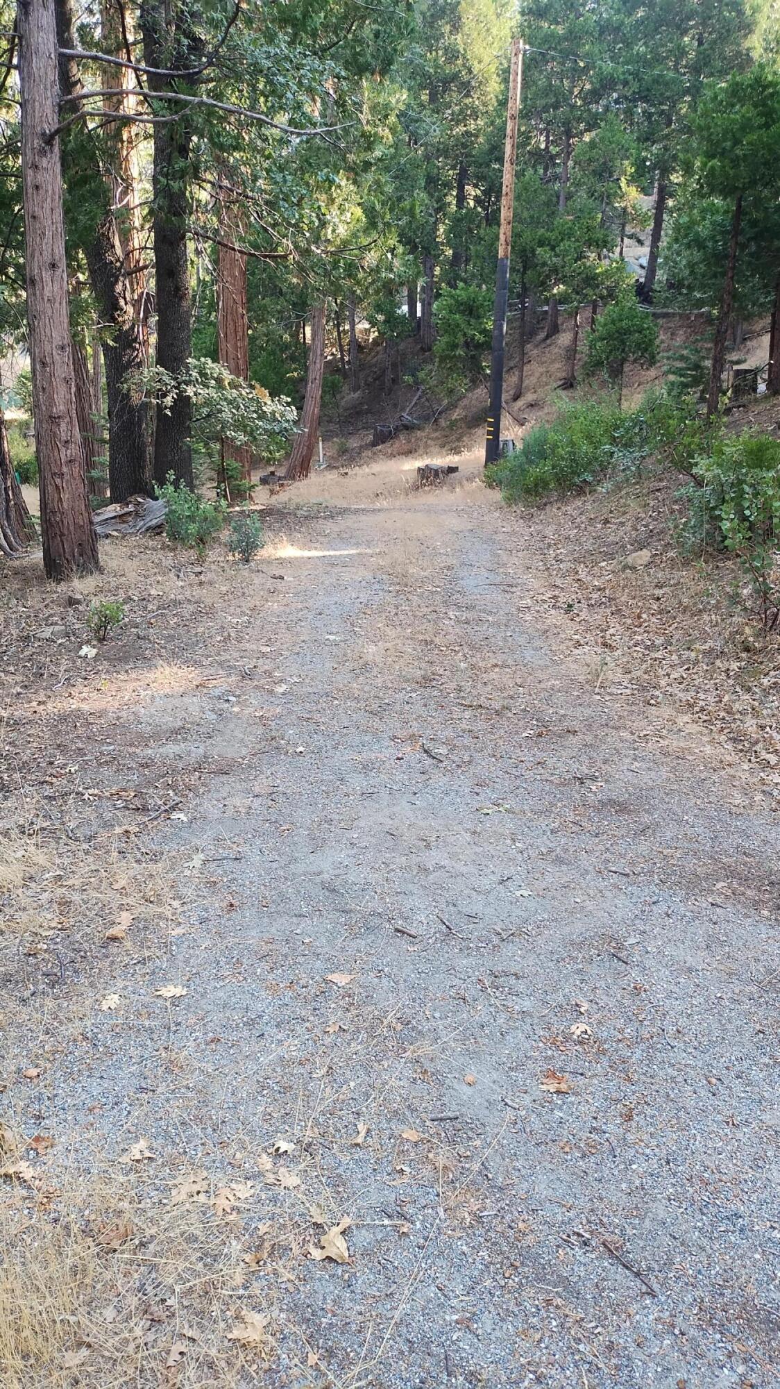 51867 Cedar Road Cedar Slope, CA 93265 - Photo 32 of 38 29-Looking down the main driveway to Ced