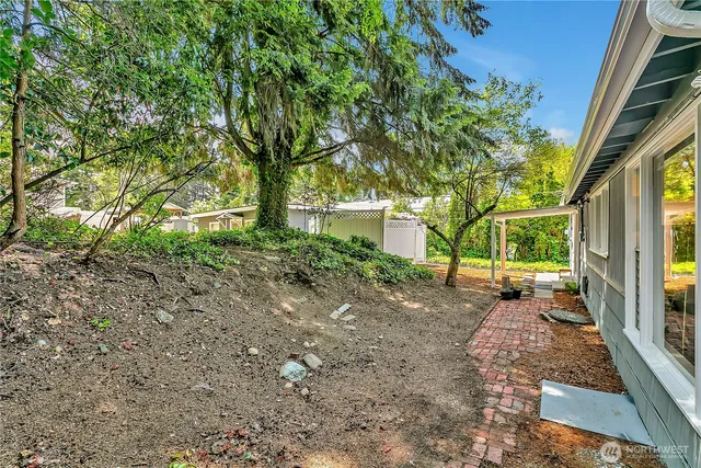 a view of a yard with plants and a large tree