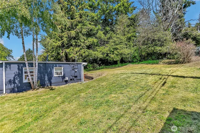 a view of a yard with large tree