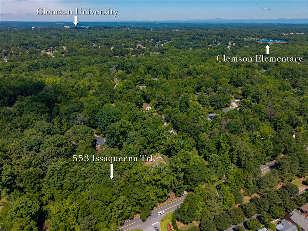 553 Issaqueena Trail Clemson, SC 29631 - Photo 5 of 6