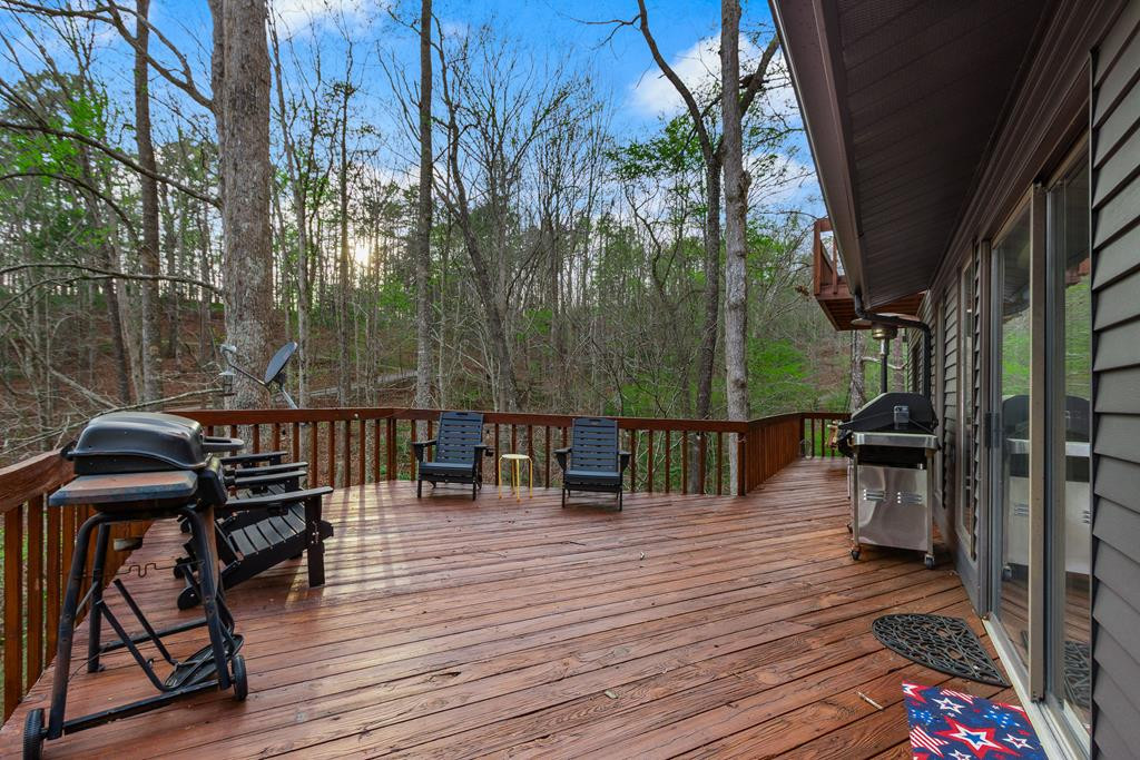 899 Lonesome Pine Road Murphy, NC 28906 - Photo 63 of 87