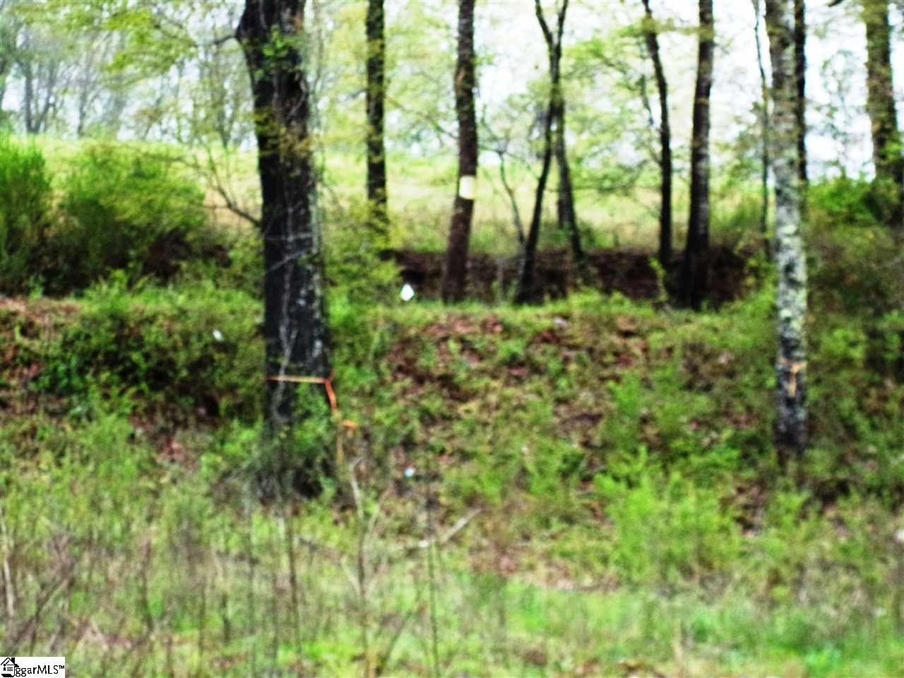 12224 River Road Woodruff, SC 29388 - Photo 4 of 24