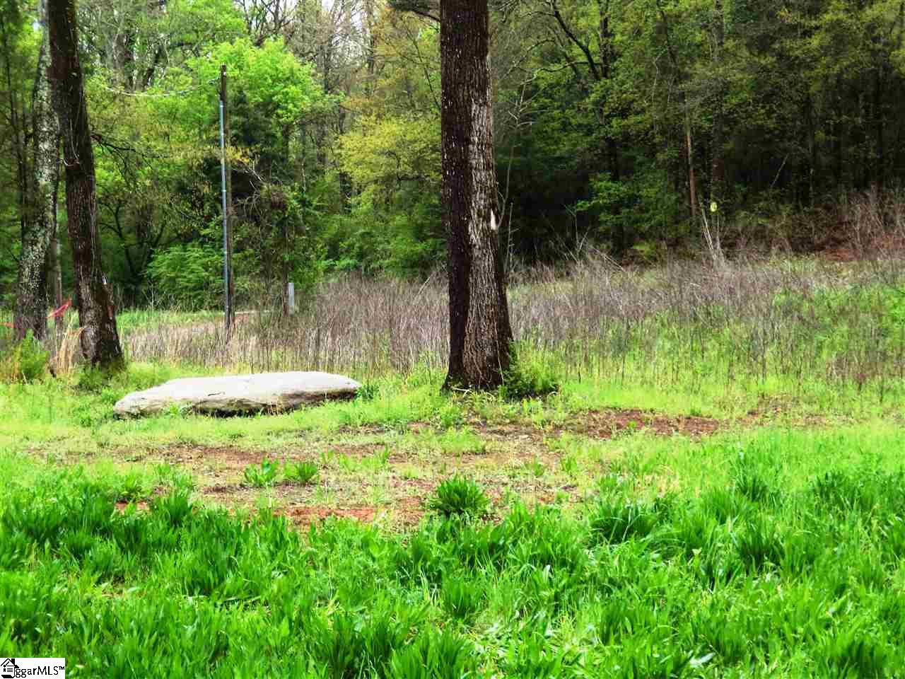 12224 River Road Woodruff, SC 29388 - Photo 9 of 24