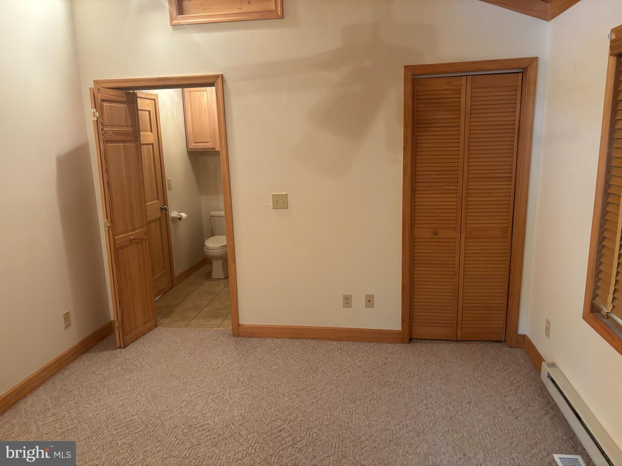 251 Riffey Mountain Lane Mathias, WV 26812 - Photo 11 of 33 Primary bedroom 1 with private bathroom