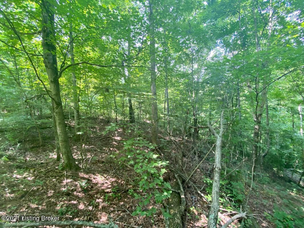 1270 Duvall Road Caneyville, KY 42721 - Photo 29 of 61 1270 Duvall Rd17