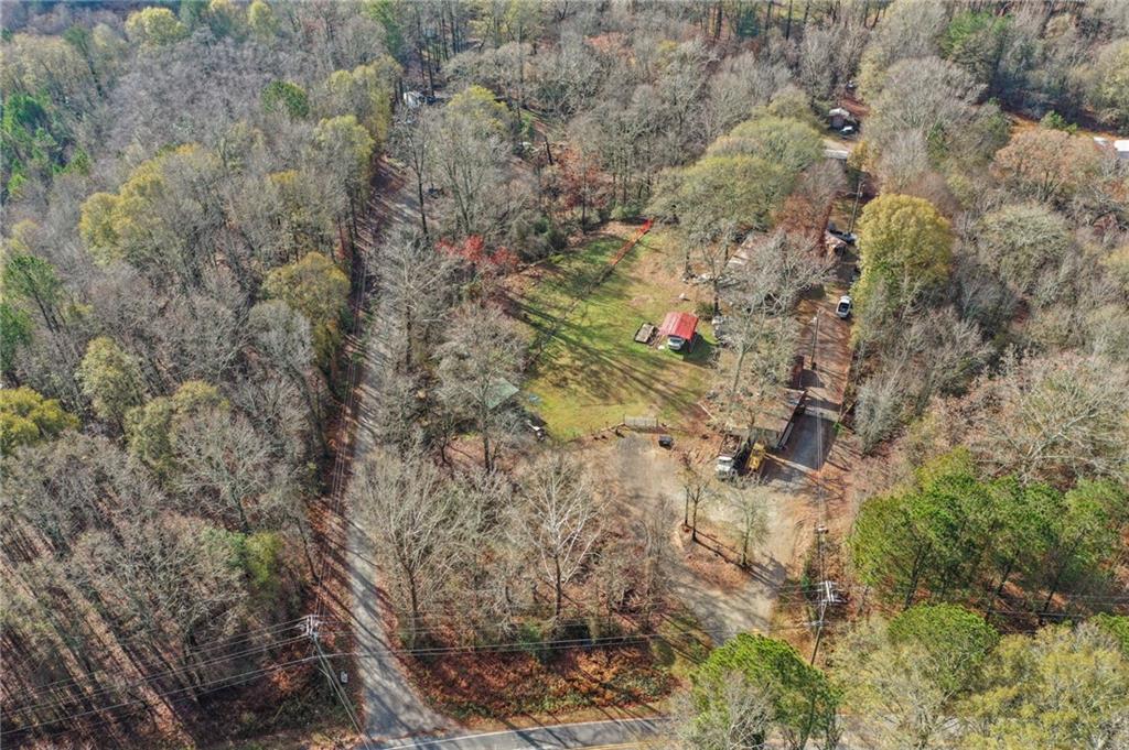 130 Fowler Hill Road Alpharetta, GA 30004 - Photo 16 of 17 a view of tree