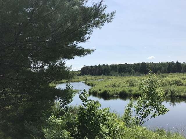 160-ac Scotchman Lake Road Minocqua, WI 54548 - Photo 5 of 30 Gallery Image 5