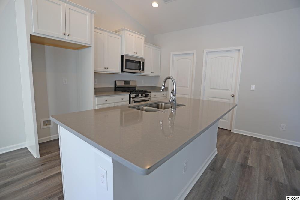 191 Palm Terrace Loop Conway, SC 29526 - Photo 2 of 10 Gallery Image 2