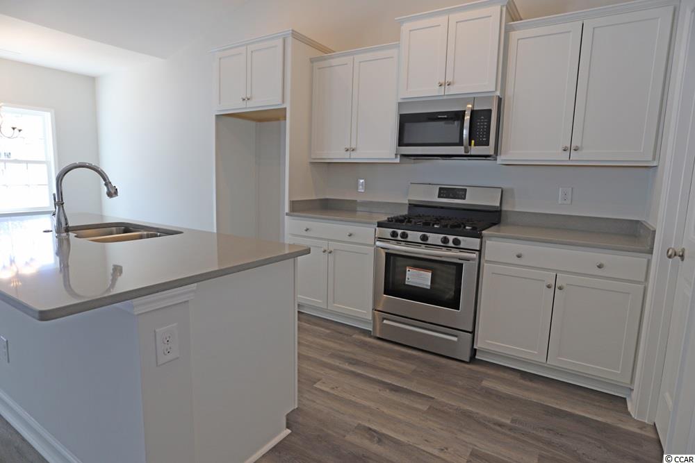 191 Palm Terrace Loop Conway, SC 29526 - Photo 3 of 10 Gallery Image 3