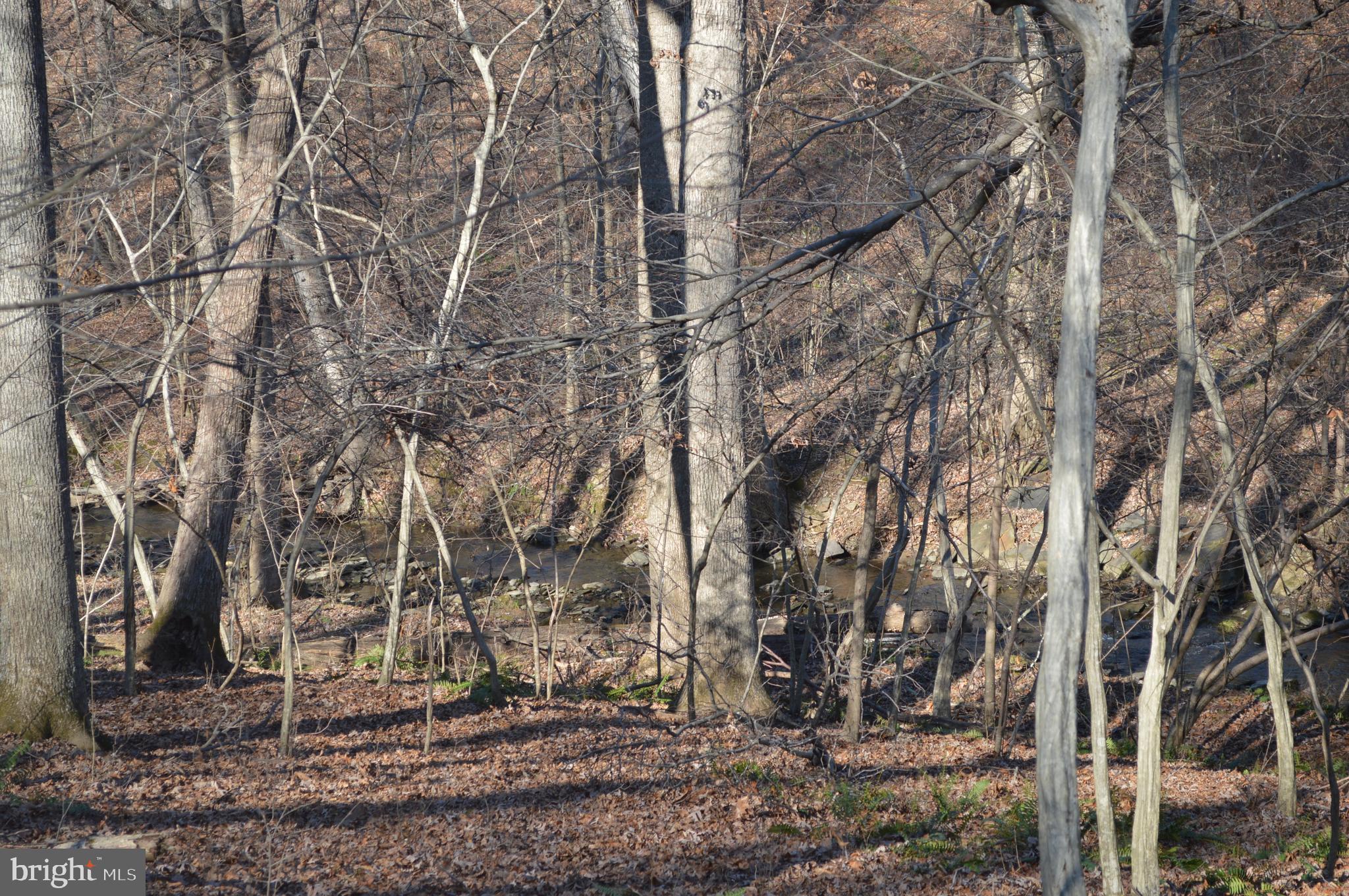 6014 Snowdens Run Road Sykesville, MD 21784 - Photo 56 of 56 Stream at end of property