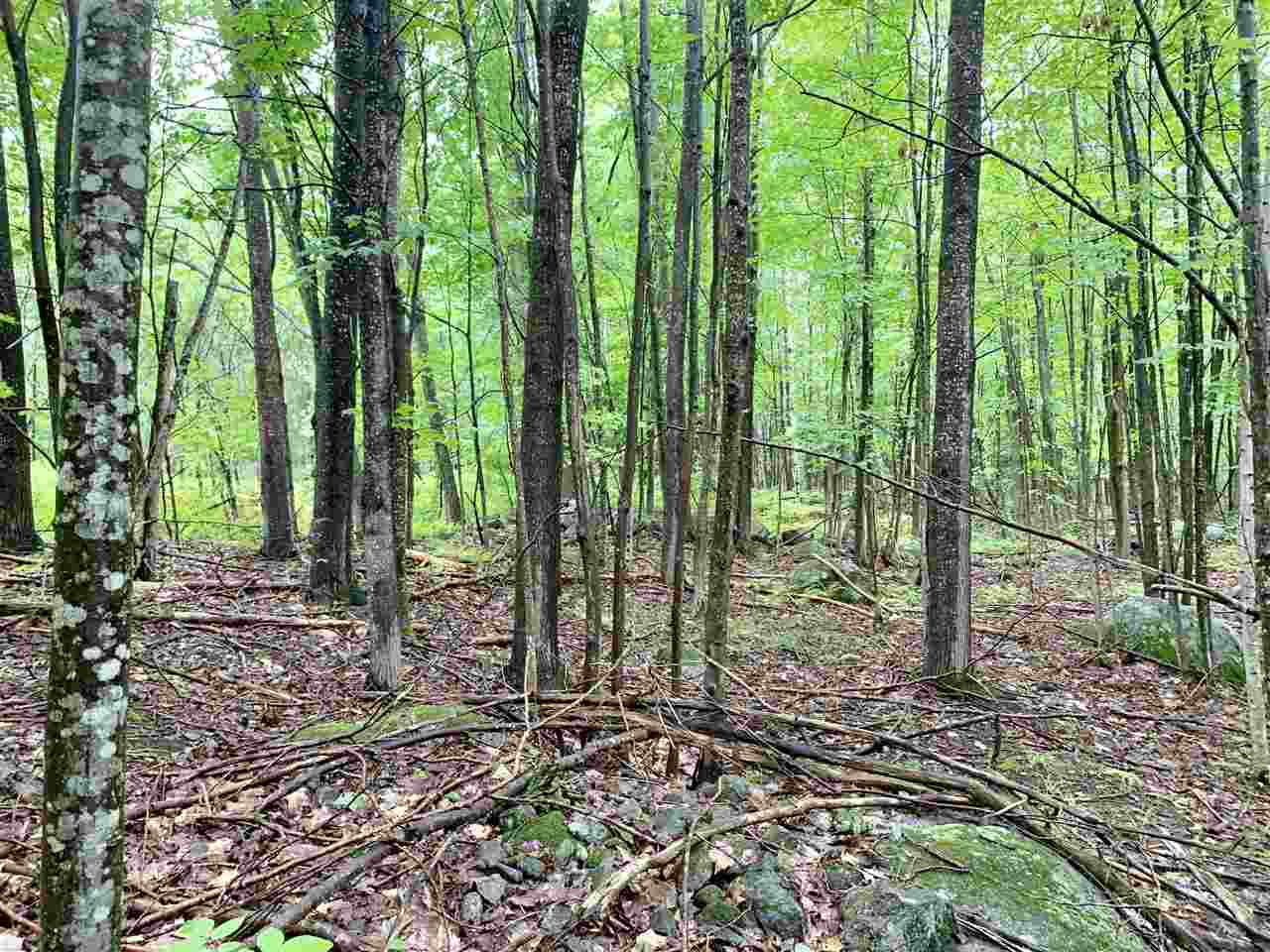 Dutile Road, Unit 217083000 Belmont, NH 03220 - Photo 1 of 6