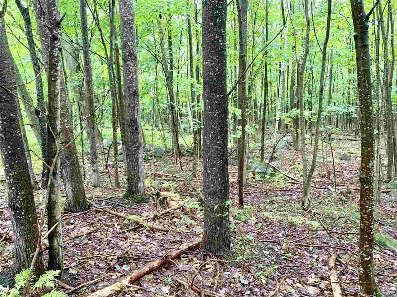 Dutile Road, Unit 217083000 Belmont, NH 03220 - Photo 3 of 6