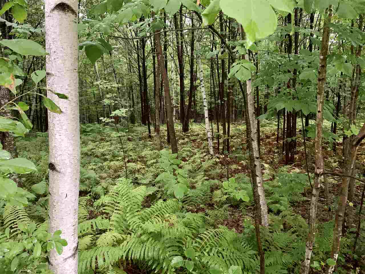 Dutile Road, Unit 217083000 Belmont, NH 03220 - Photo 6 of 6