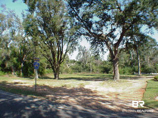 0 County Road 49 Magnolia Springs, AL 36555 - Photo 5 of 5 Additional View 4