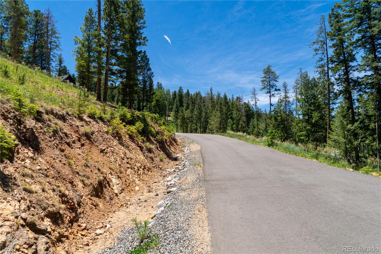 6814 Lynx Lair Road Evergreen, CO 80439 - Photo 8 of 19