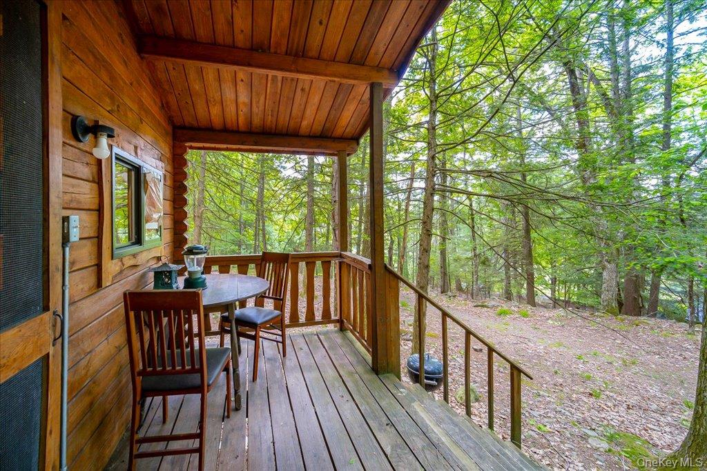 101 Red Star Road Greenfield Park, NY 12435 - Photo 32 of 50