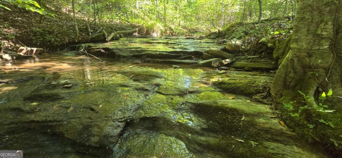 1 Outback Road Talking Rock, GA 30175 - Photo 1 of 1 Gallery Image 1