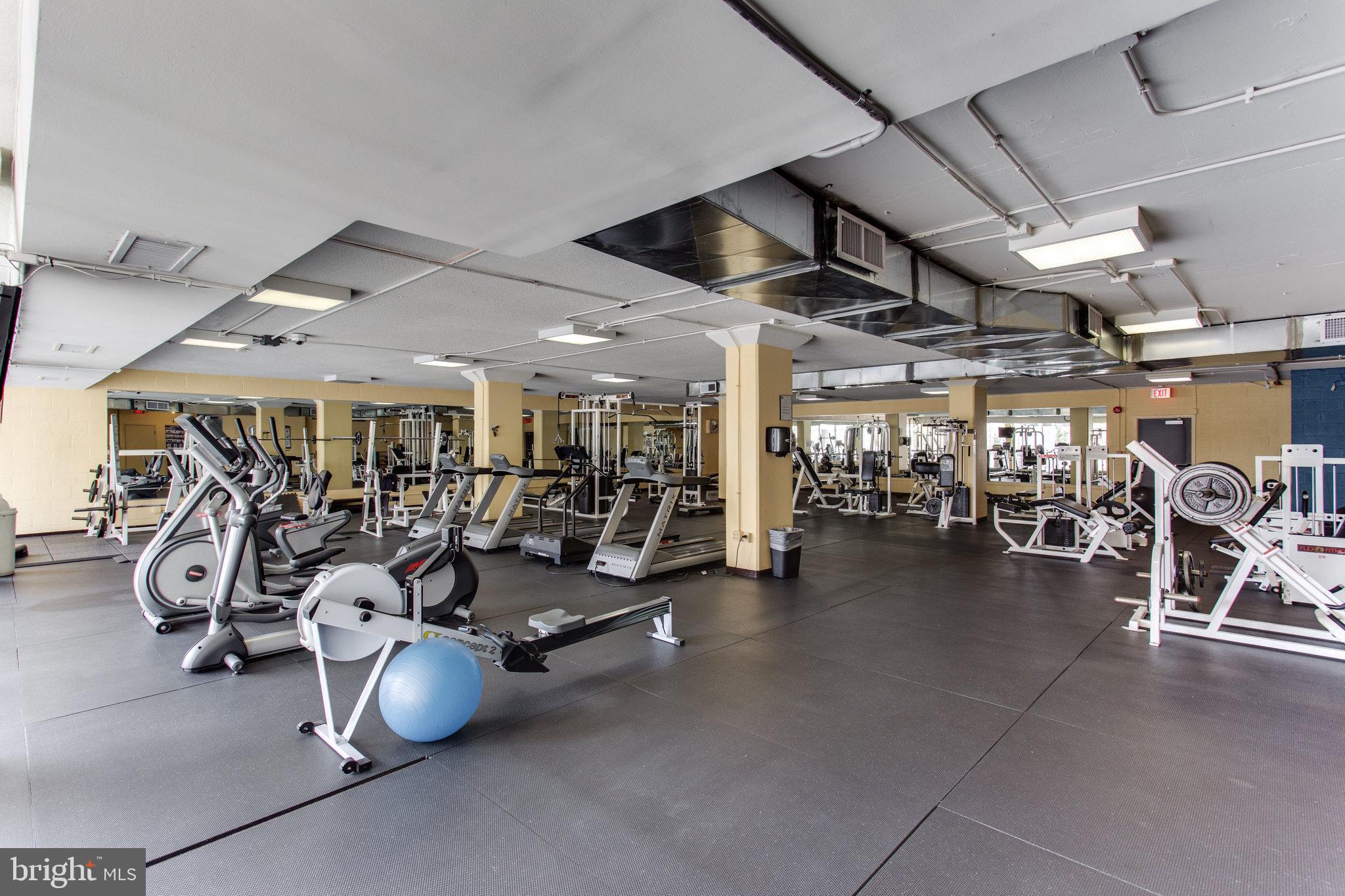 4600 South Four Mile Run Drive, Unit 1203 Arlington, VA 22204 - Photo 14 of 18