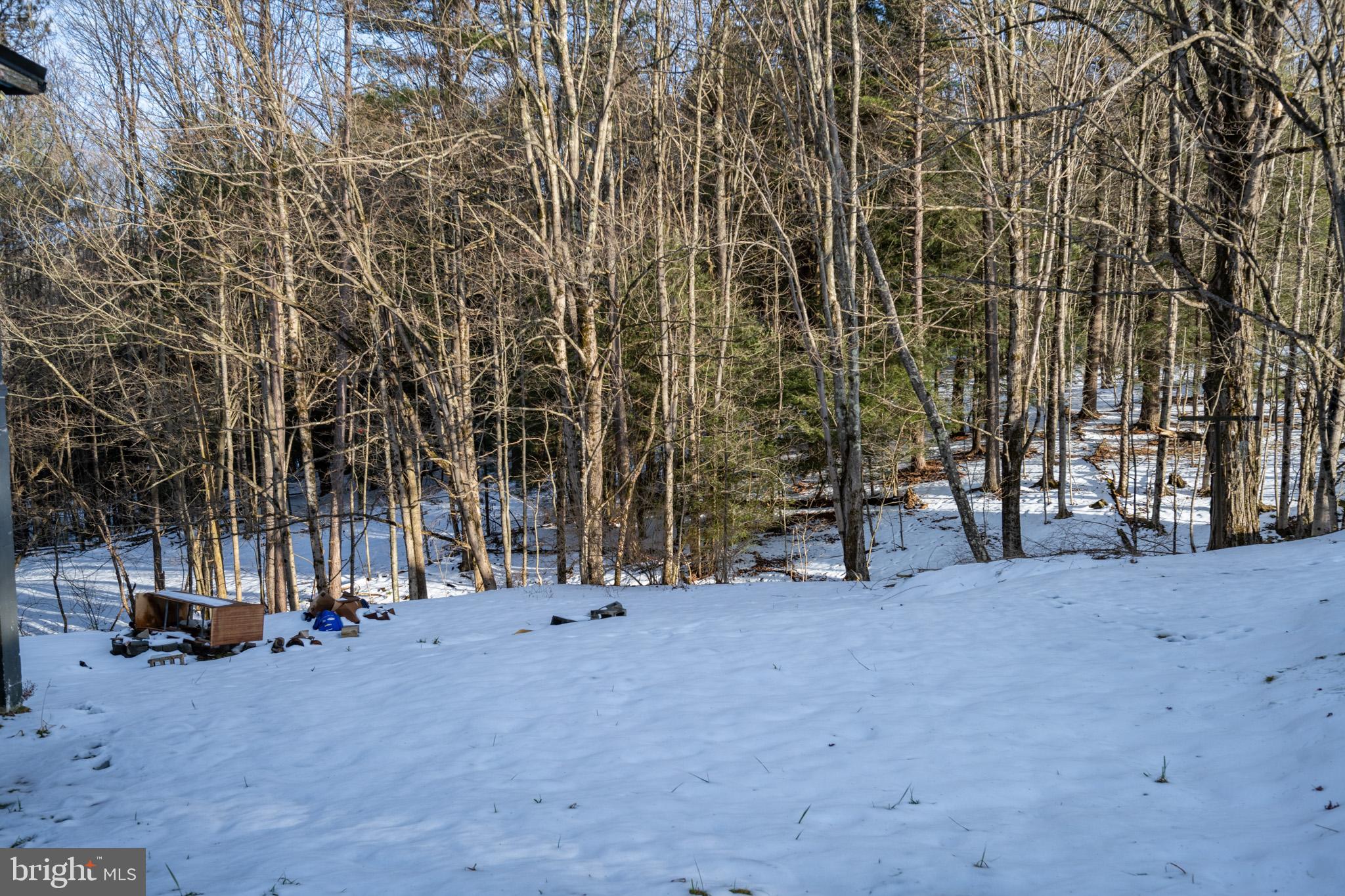 1358 Crellin Underwood Road Oakland, MD 21550 - Photo 7 of 37