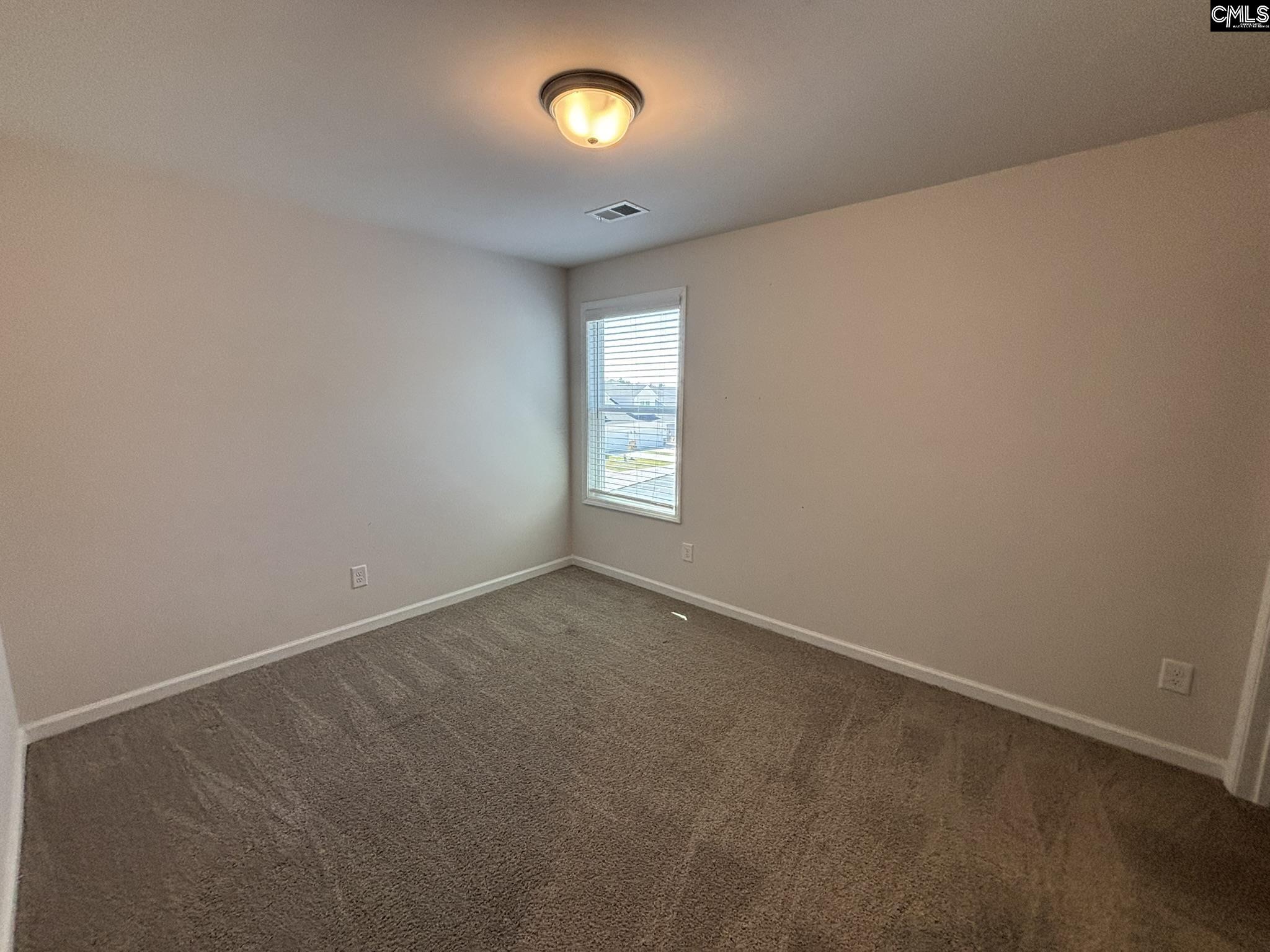 424 Lady Liberty Way Lexington, SC 29073 - Photo 14 of 21