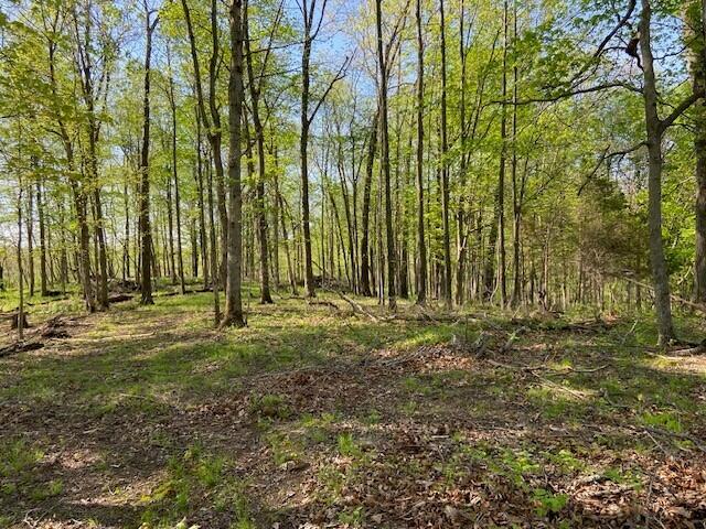 2451 Sardis Road Mount Olivet, KY 41064 - Photo 29 of 42