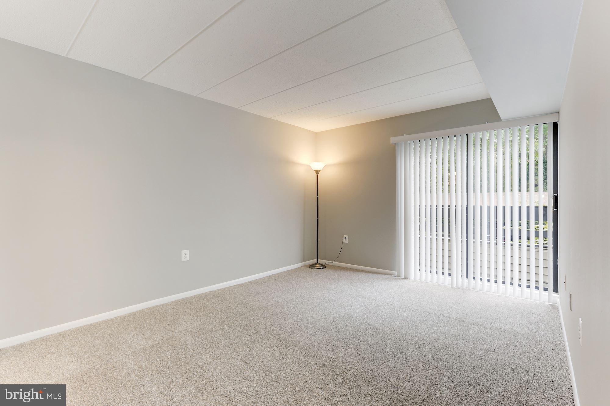2100 Green Watch Way, Unit 201 Reston, VA 20191 - Photo 22 of 29 New carpet paint and vertical blinds