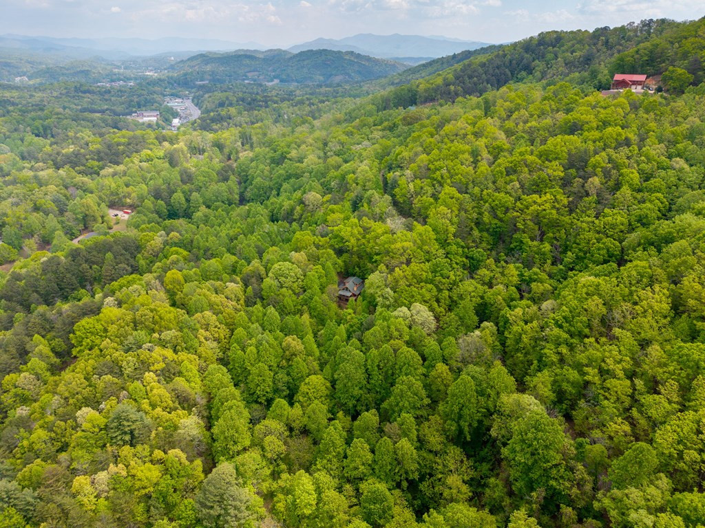 176 New Castle Road Murphy, NC 28906 - Photo 41 of 49