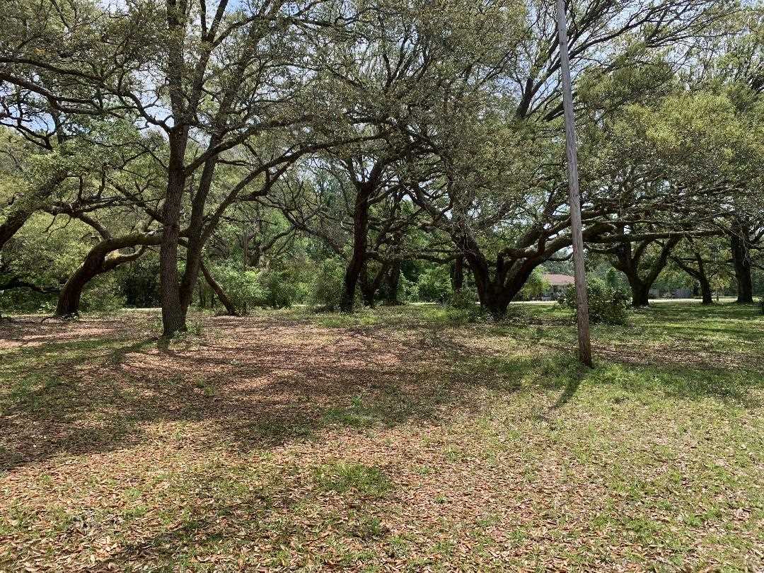 9587 John Hall Lane Foley, AL 36535 - Photo 13 of 19 Land View