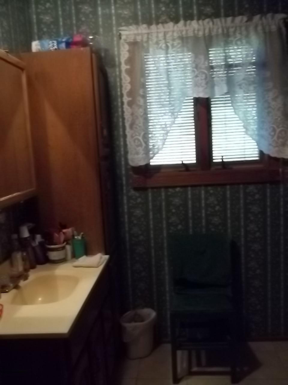 9893 Genesee Road Litchfield, MI 49252 - Photo 10 of 17 100_2832