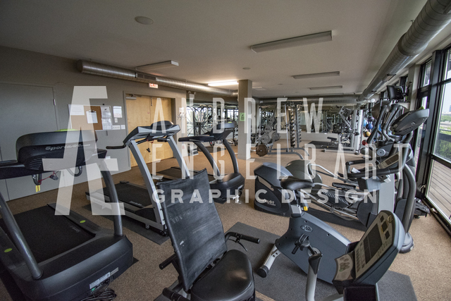 1151 West 15th Street, Unit 209 Chicago, IL 60608 - Photo 22 of 30 a view of a room with gym equipment
