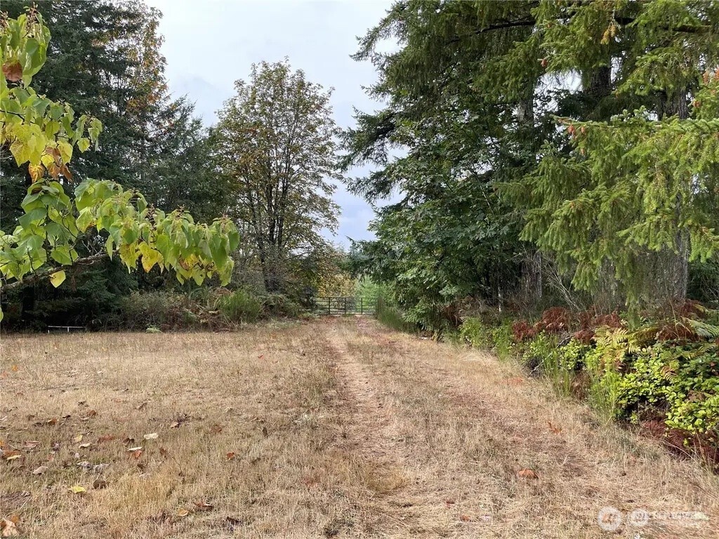 30-acres Glenwood Road Southwest Port Orchard, WA 98367 - Photo 2 of 5 a view of a yard with a tree