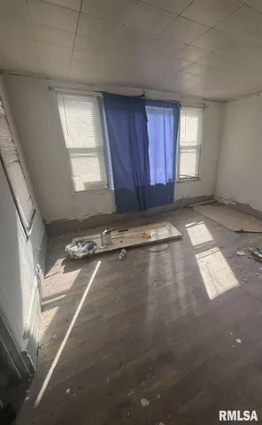 $29,999 | 213 North Webster Street, Peoria, IL 61605