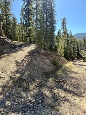 a view of a yard with a tree